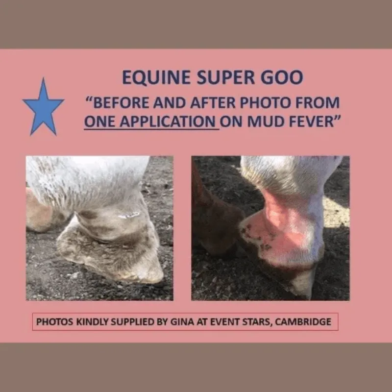 Equine Super Goo Topical Cream